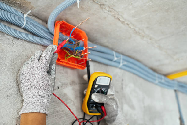 Best Electric Panel Repair  in Winnsboro, SC